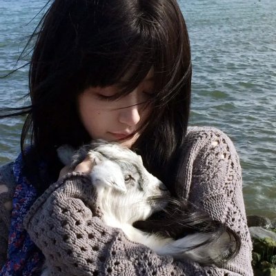 狗吃掉了影子