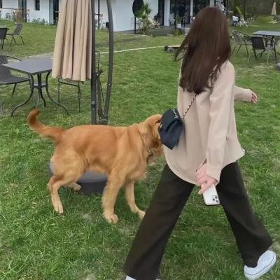 青春的陷阱